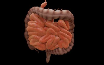 Gastrointestinale Medikamente online
